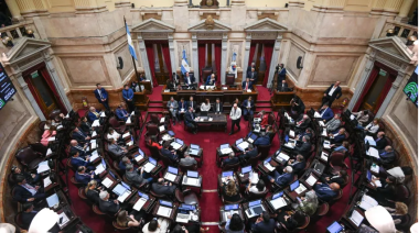 Ficha Limpia: de chicanas a la solicitud "para los jueces"