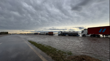 Productores de la zona más rica del país reportan pérdidas millonarias por el temporal que pone en riesgo la cosecha récord que se esperaba