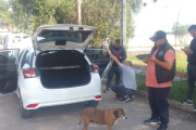 Incautaron un auto en controles policiales y ya suman casi 100 vehículos recuperados en 2025